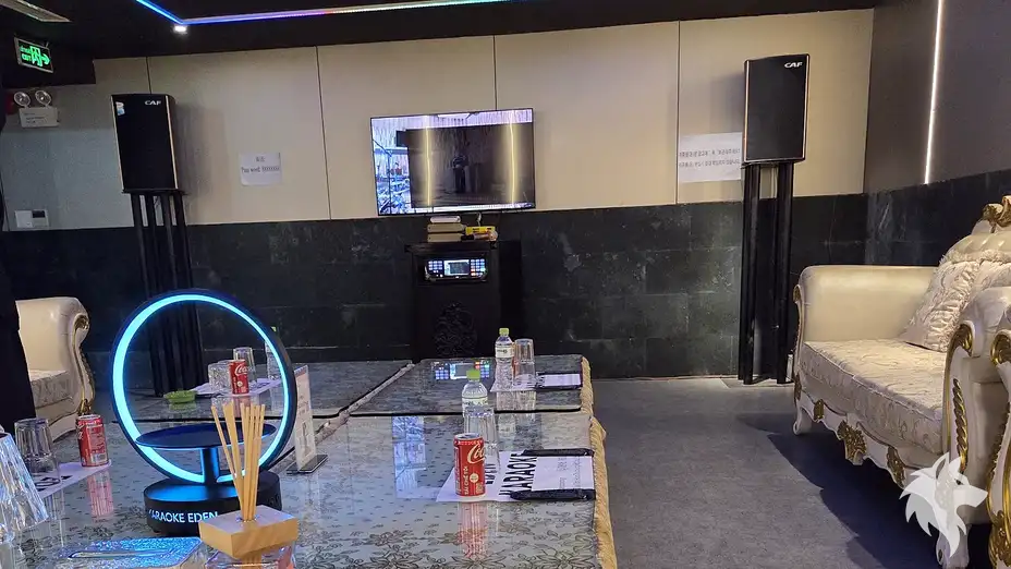 大型沙發與 KTV 設備